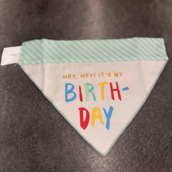 Small reversible birthday/adoption day , Dog bandana collar side - Picture 1 of 2